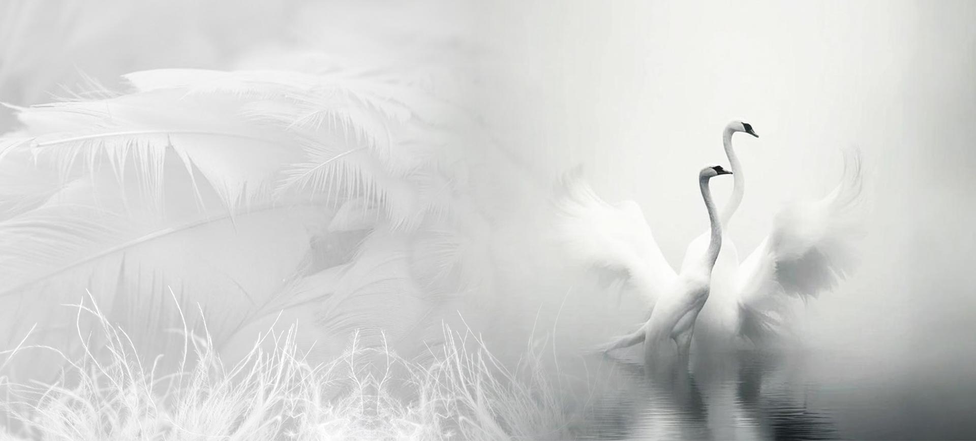 Zhejiang Shengjie Giù Products Co., Ltd.