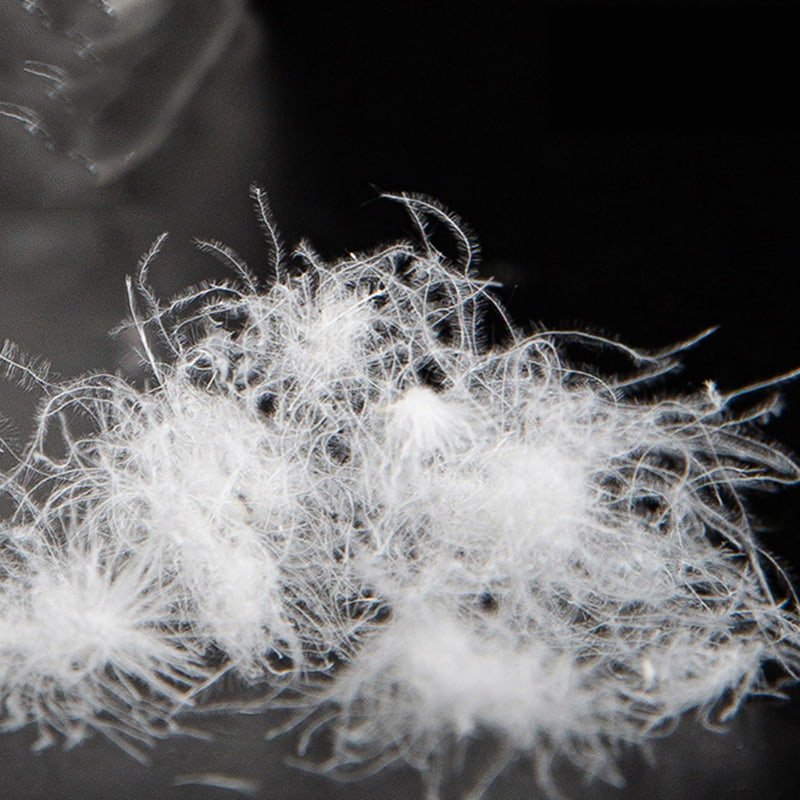 Piumino d'anatra bianca pura all'80%. Piumino d'anatra bianca pura all'80%.