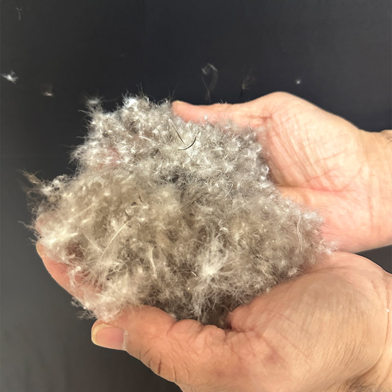 80% piumino d'anatra grigia