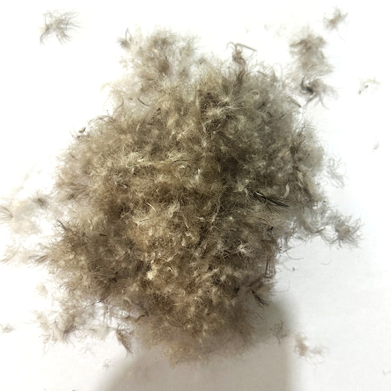 90% piumino d'anatra grigia 90% piumino d'anatra grigia