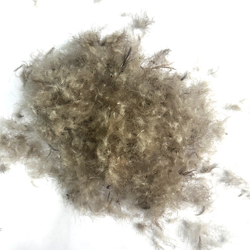 80% piumino d'anatra grigia 80% piumino d'anatra grigia