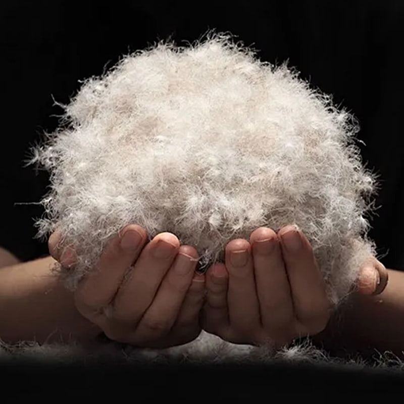 80% piumino d'anatra grigia 80% piumino d'anatra grigia