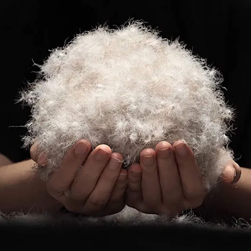 90% piumino d'anatra grigia