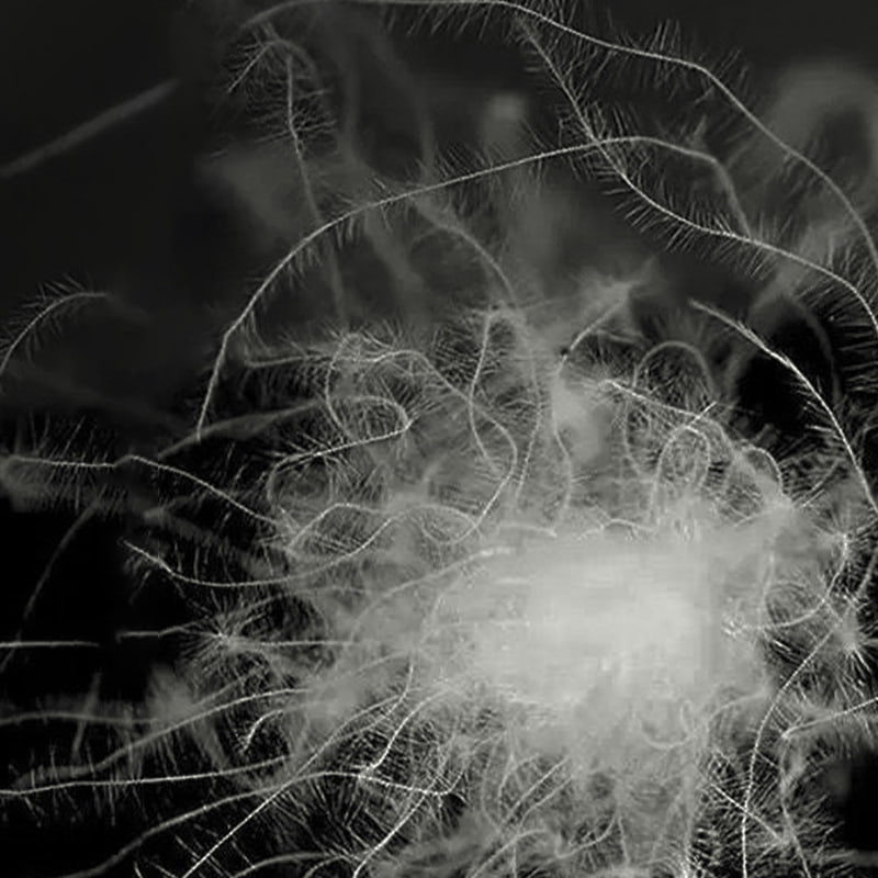 80% piumino d'anatra grigia 80% piumino d'anatra grigia