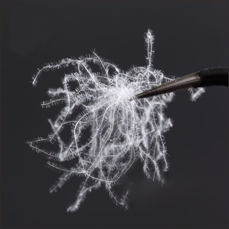 Piumino d'anatra bianca pura all'80%. Piumino d'anatra bianca pura all'80%.