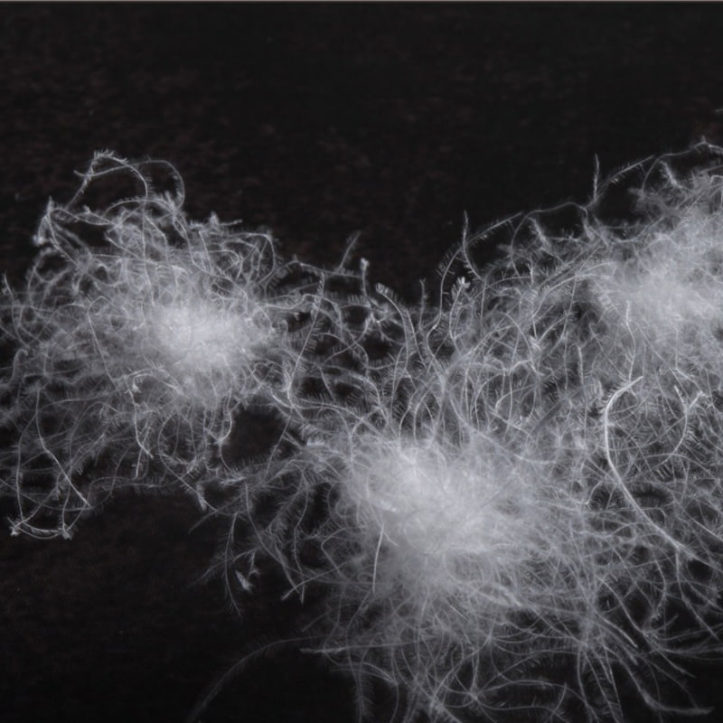 50% piumino d'oca bianca 50% piumino d'oca bianca