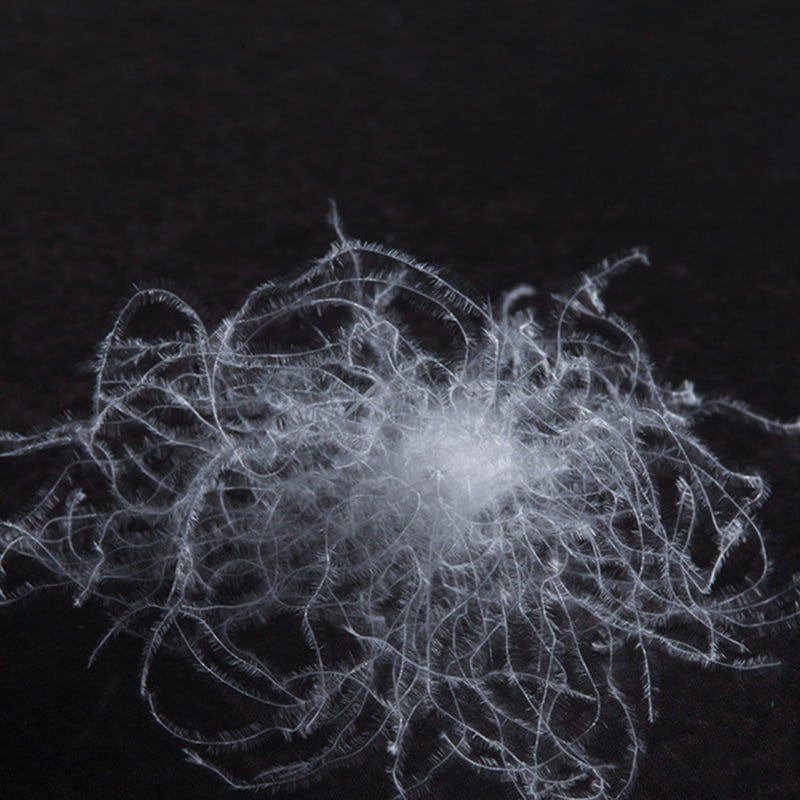 50% piumino d'oca bianca 50% piumino d'oca bianca