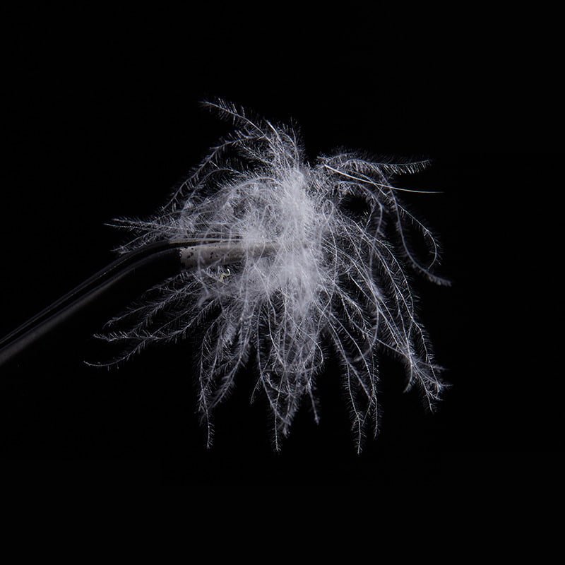 Piumino d'anatra bianca pura all'80%. Piumino d'anatra bianca pura all'80%.