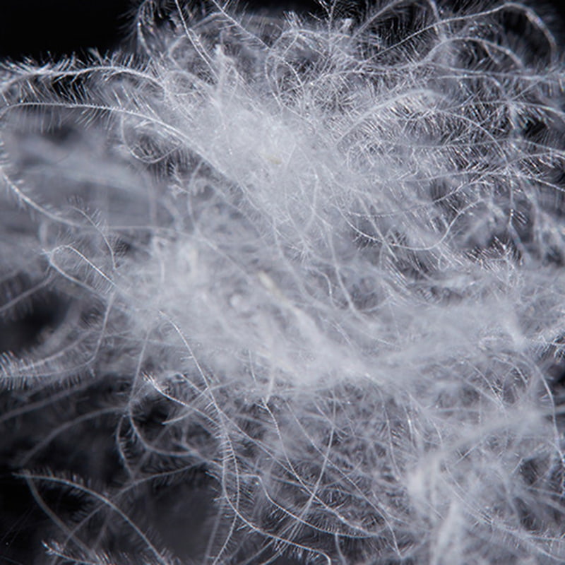 Piumino d'anatra bianca pura all'80%. Piumino d'anatra bianca pura all'80%.