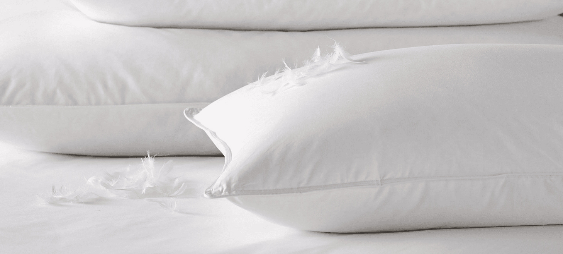 Zhejiang Shengjie Giù Products Co., Ltd.