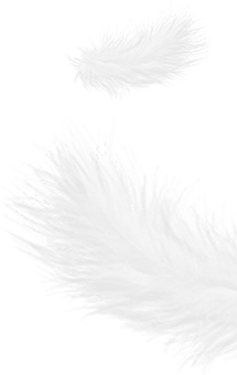 Zhejiang Shengjie Giù Products Co., Ltd.