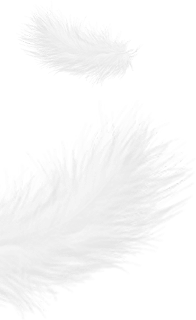 Zhejiang Shengjie Giù Products Co., Ltd.