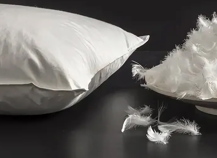 Zhejiang Shengjie Giù Products Co., Ltd.