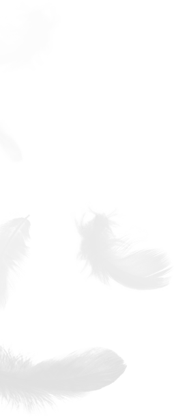 Zhejiang Shengjie Giù Products Co., Ltd.